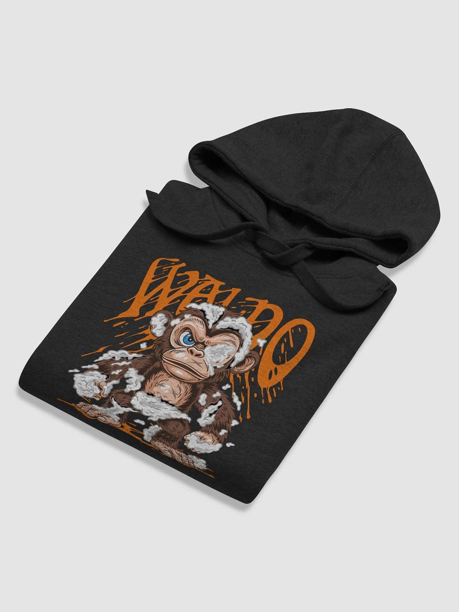 Waldo Hoodie 1 product image (29)