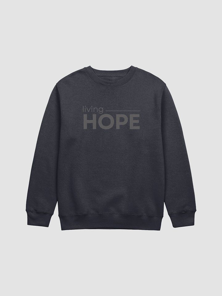 Living HOPE Premium Crewneck Sweatshirt product image (13)