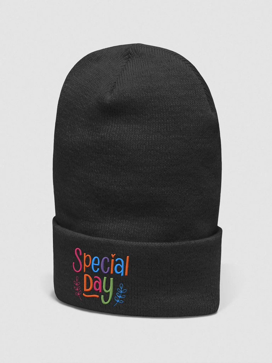 Special Day Celebration Beanie product image (13)