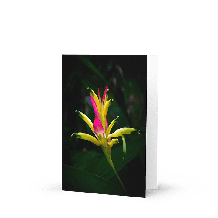 Radiant Bloom Greeting Card product image (1)