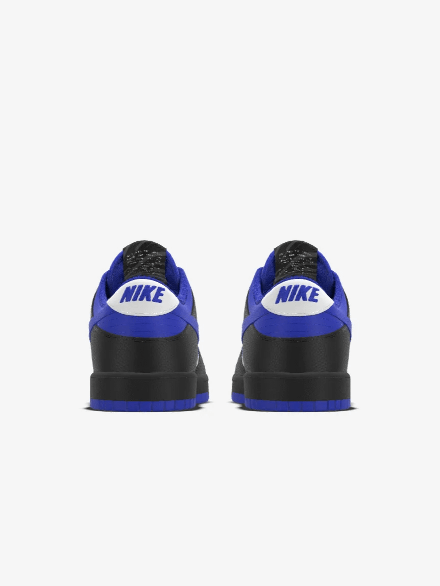Alluci x Nike Verus Streetwise Low Retro Dunk product image (5)