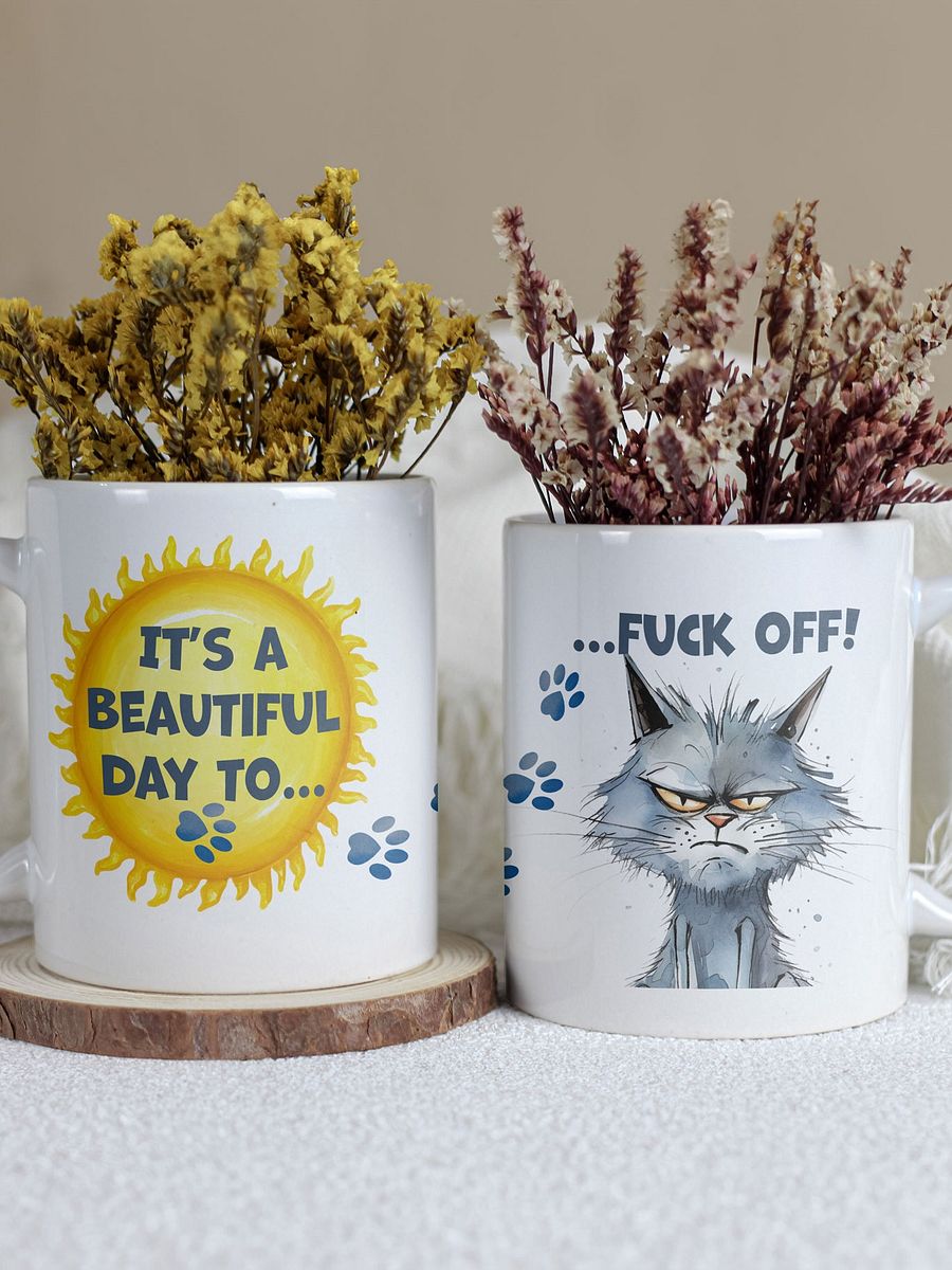 Cat Chat: "It's a beautiful day... to fuck off!" White glossy mug product image (1)