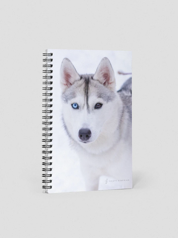 Skaya Notebook product image (1)