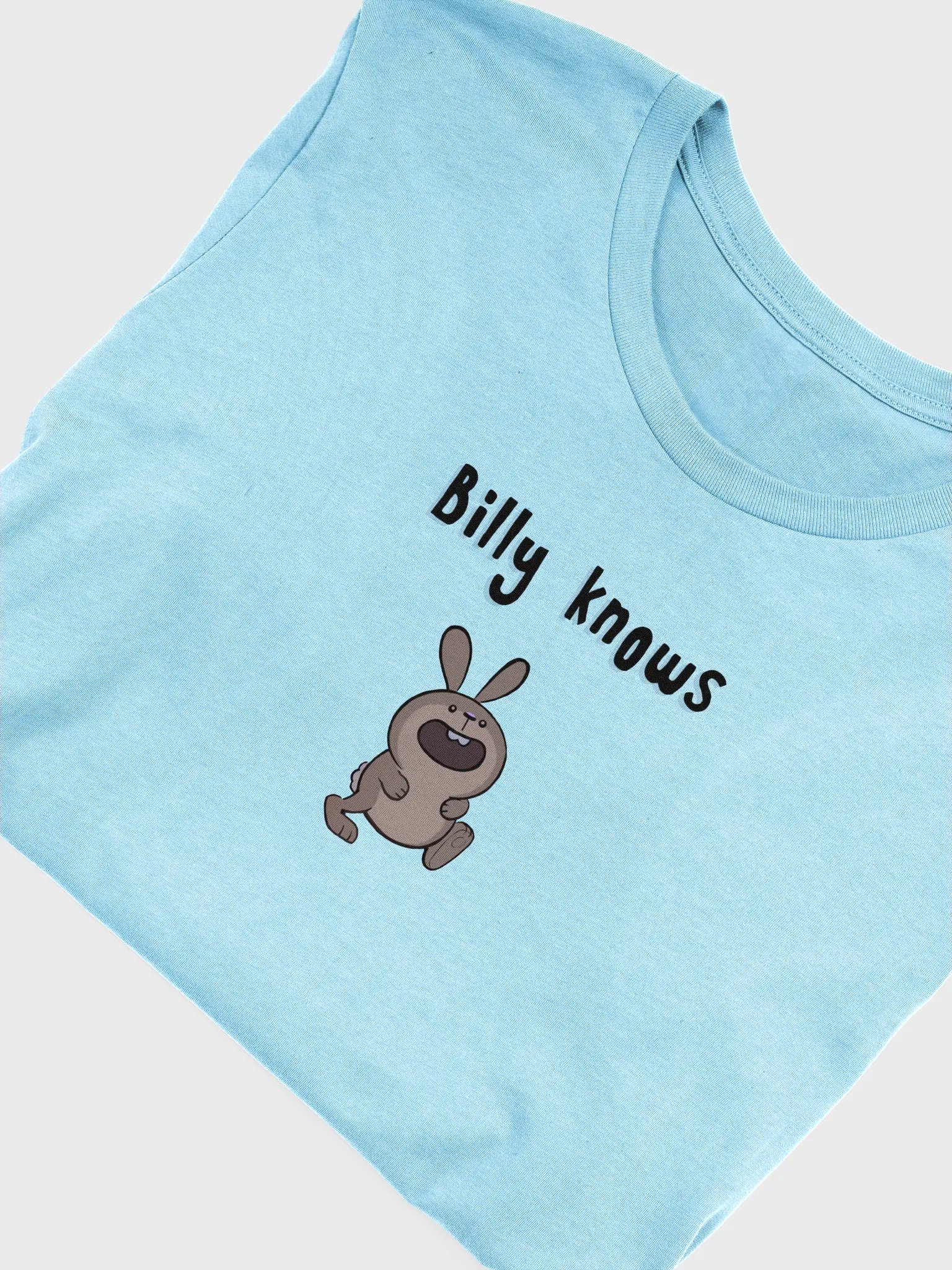 Billy Knows product image (25)