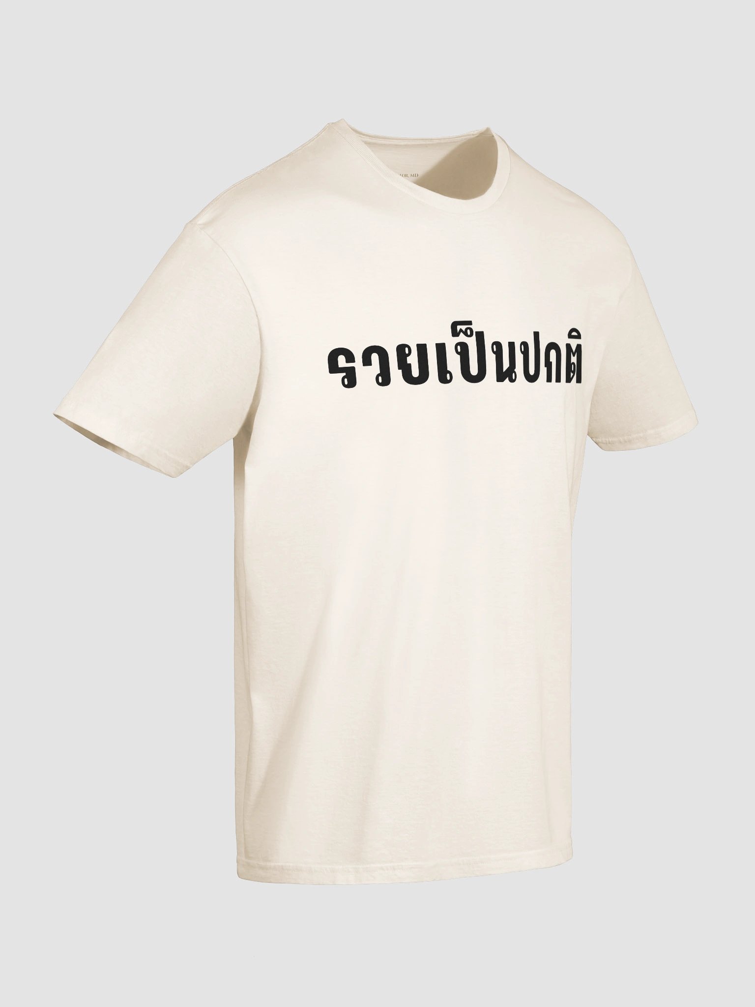 "รวยเป็นปกติ" - Wealth is My Default T-Shirt (Black Print) product image (146)