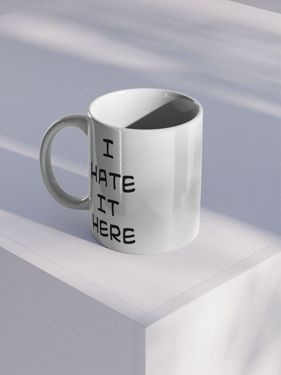 I HATE IT HERE MUG product image (1)