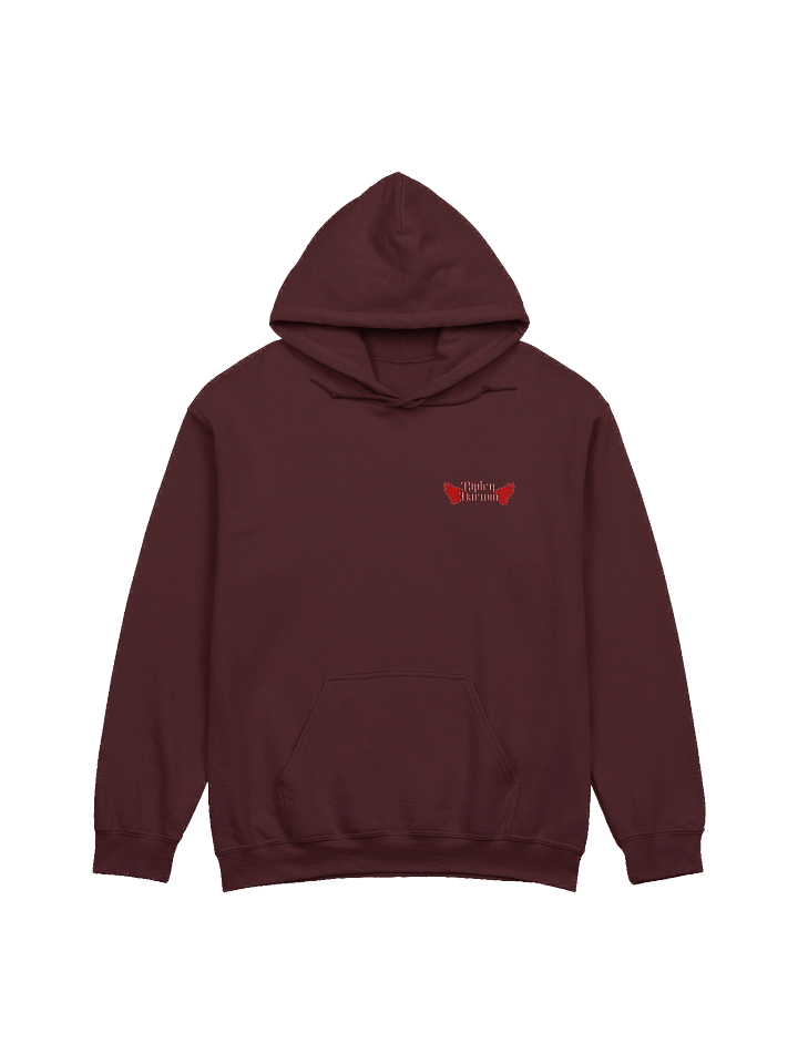 Patient - Hoodie product image (9)