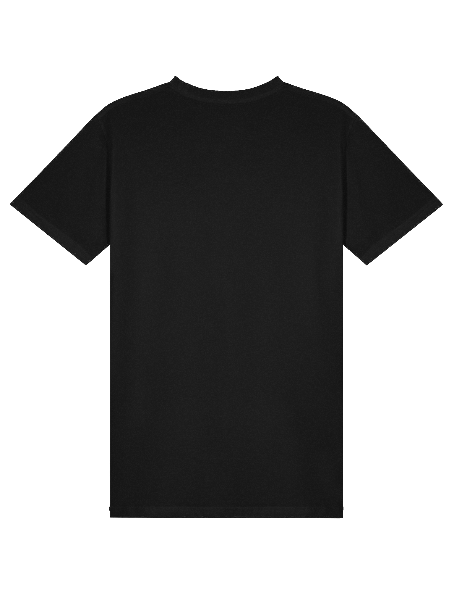 AS Colour Unisex Premium T-Shirt Embroidered product image (17)