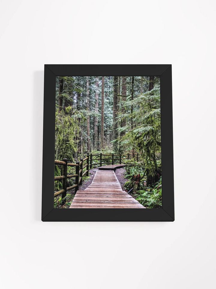 Lynn Canyon Park product image (4)