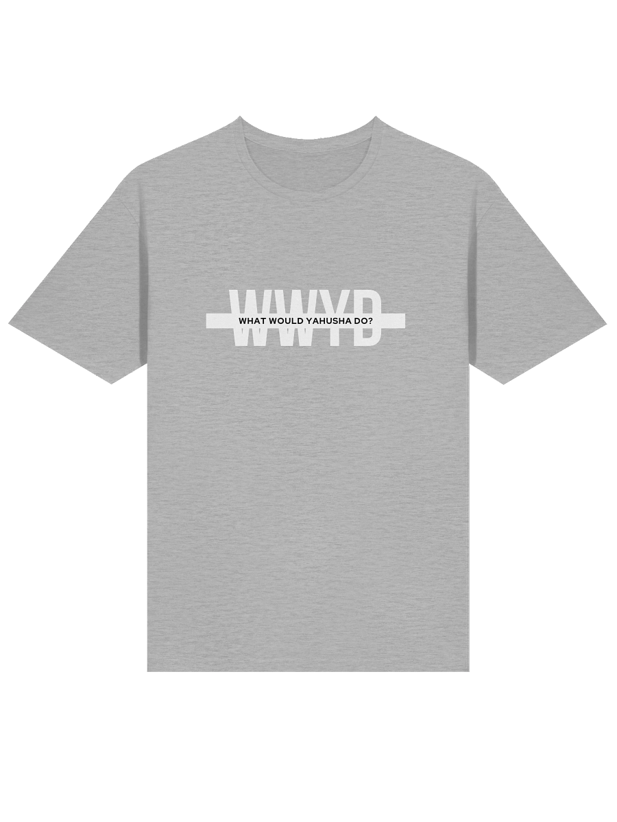 WWYD Gray T-Shirt product image (3)