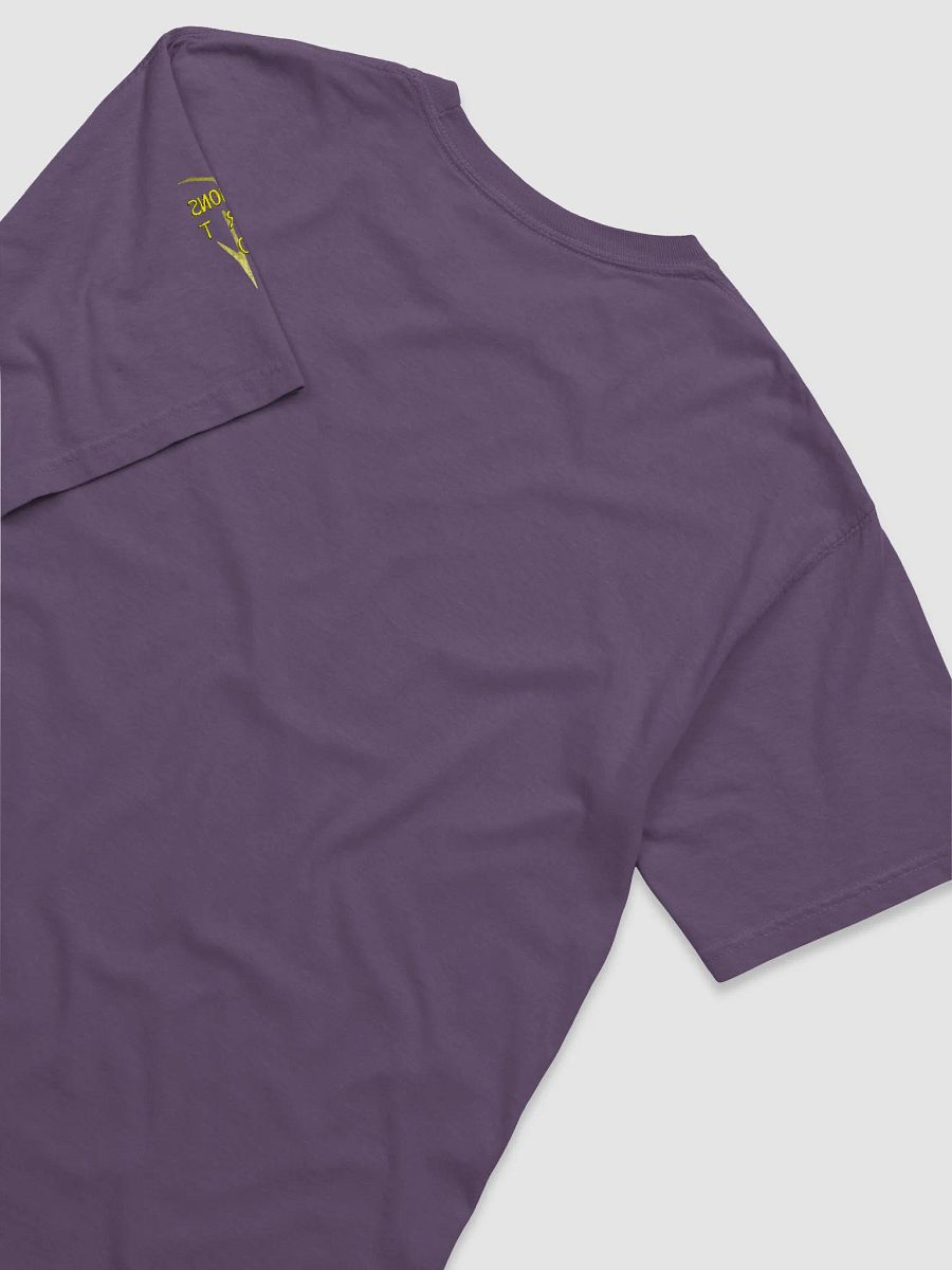 Hauntingly Beautiful. Beautifully Haunting. T-Shirt product image (102)