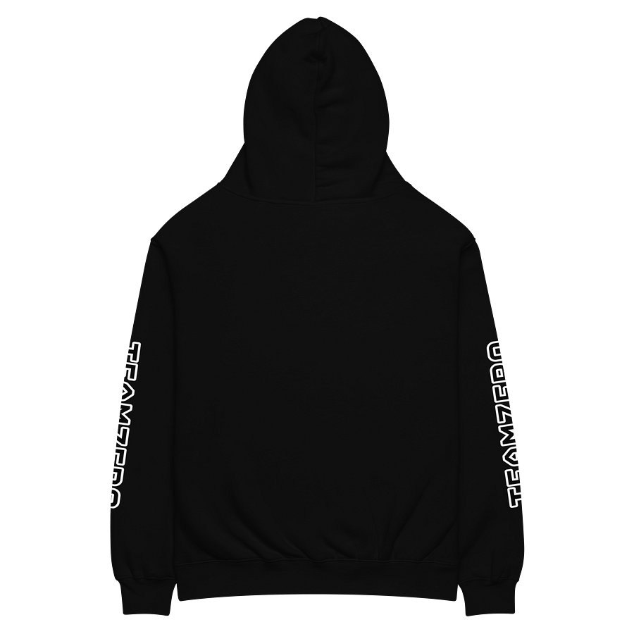 TeamZero NEW Logo Hoodie product image (10)