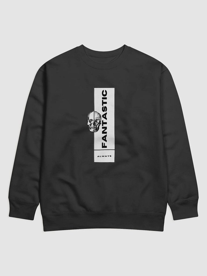 Fantastic Skull Premium Sweatshirt product image (1)