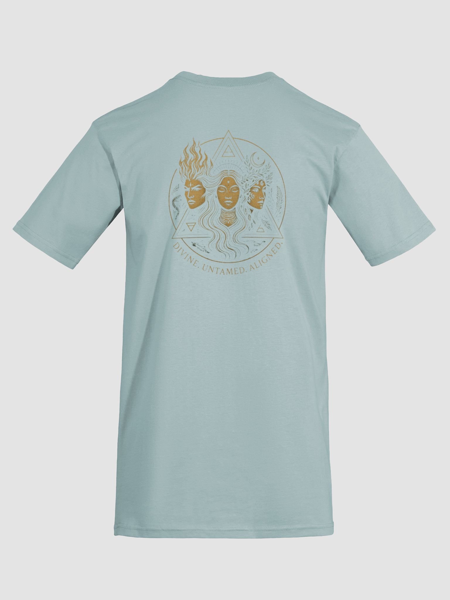 Divine Feminine Swirl Logo Men's Tee product image (58)