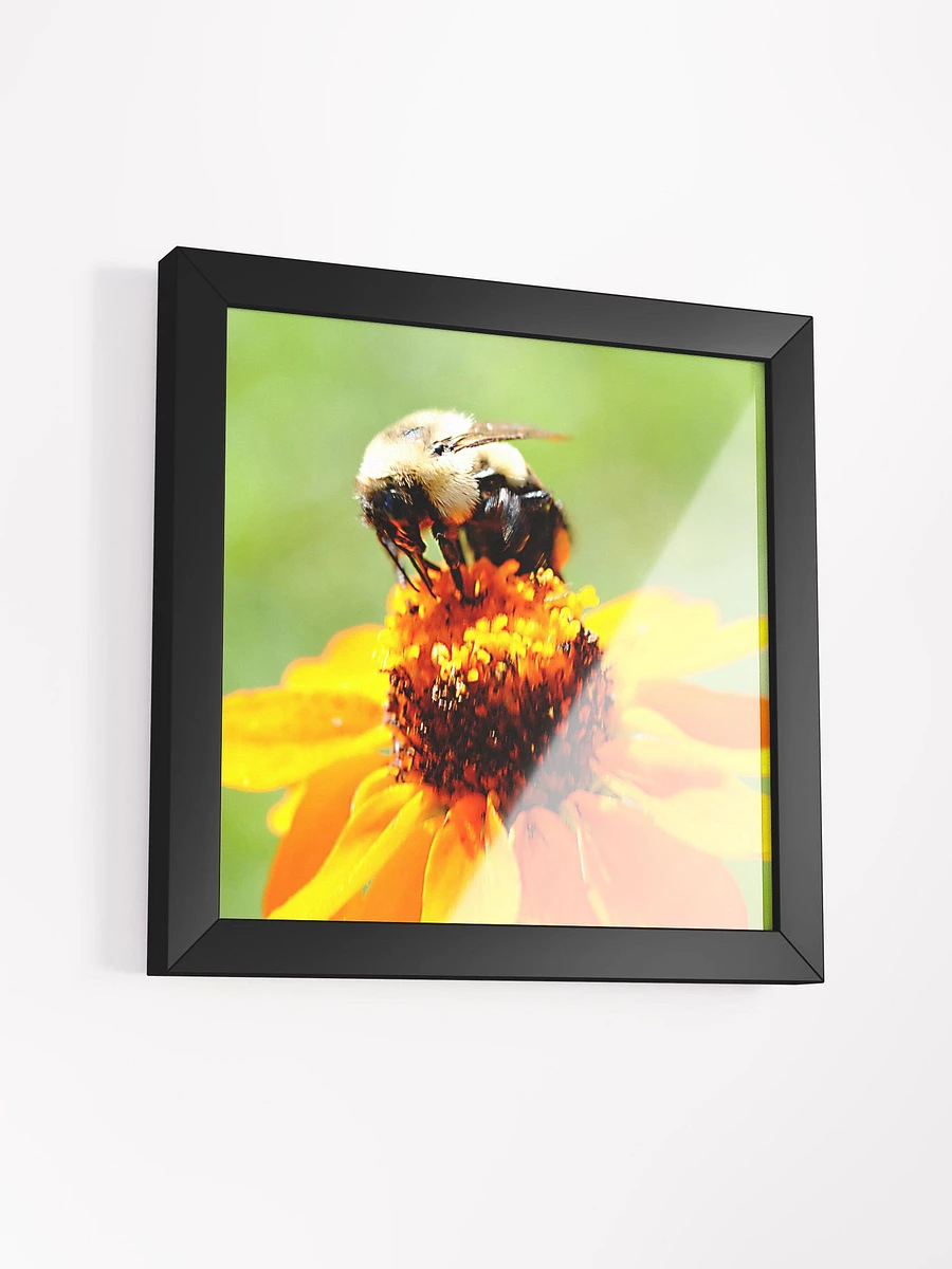 Bee On a Flower Framed Poster product image (33)