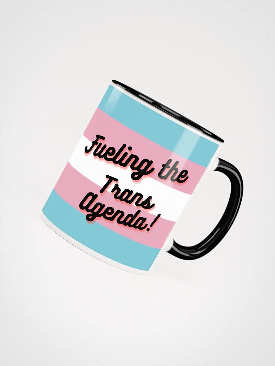 Fueling the Trans Agenda product image (4)