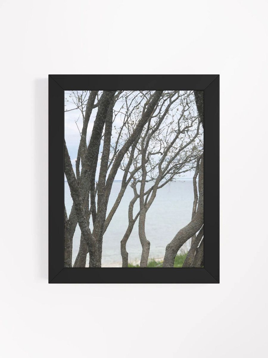Winding Branches High Quality Matte Poster product image (4)