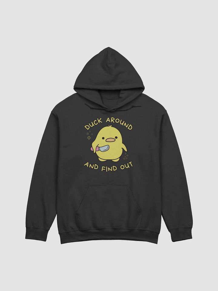 Duck around and find out Hoodie product image (1)