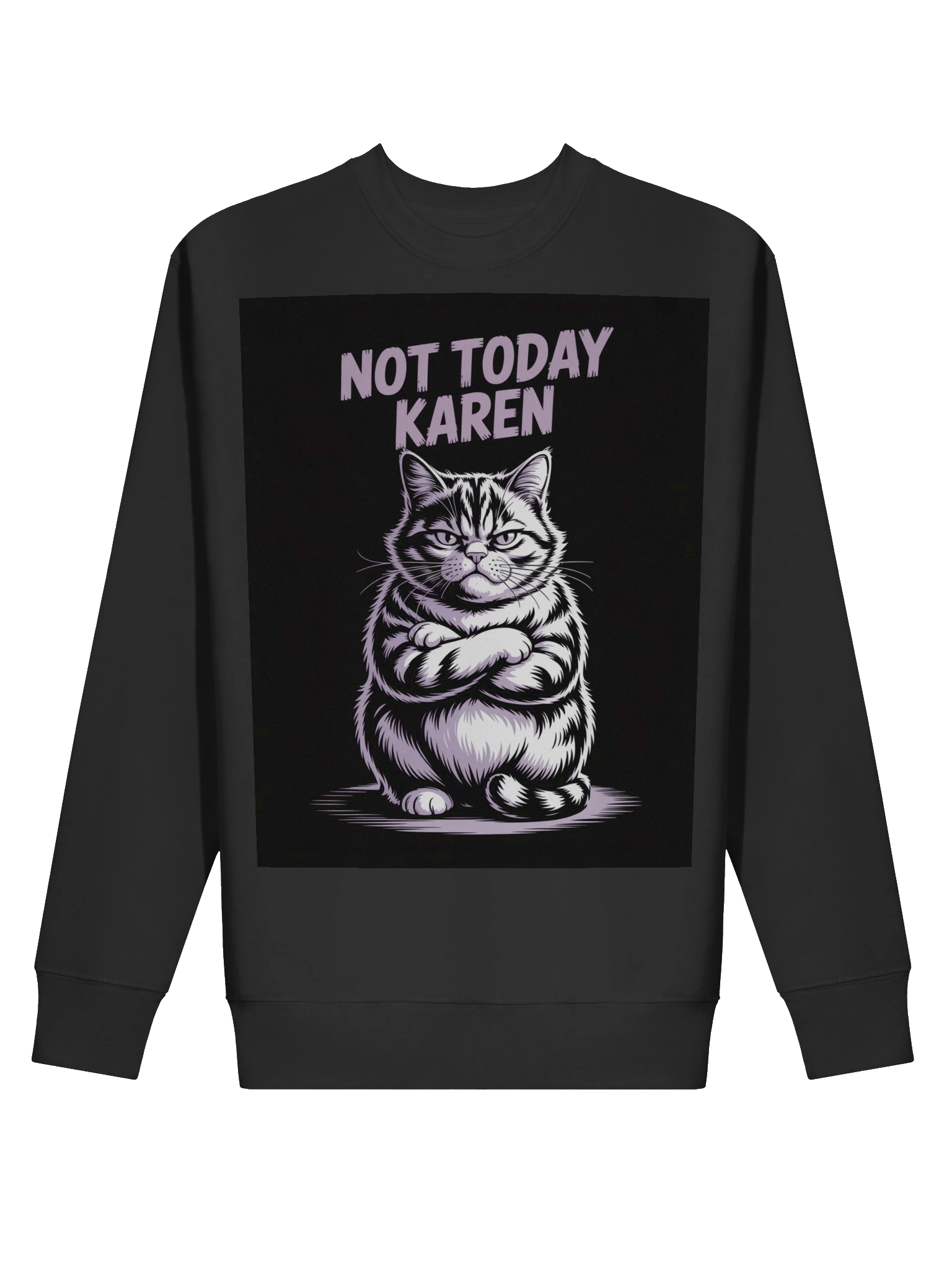 Grumpy Cat 'Not Today Karen' Sweatshirt product image (2)