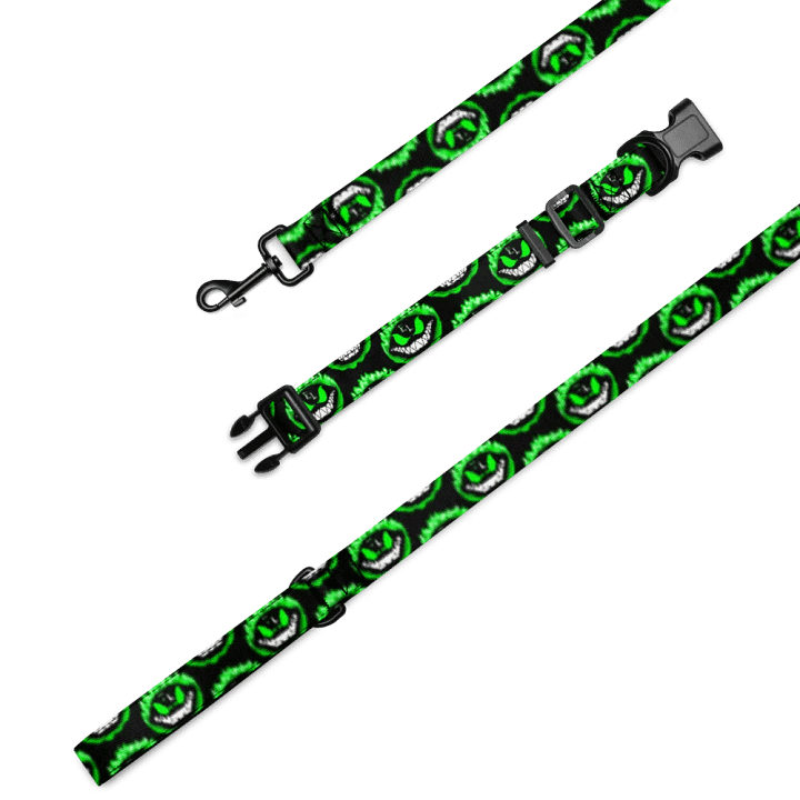 Leash & Collar product image (1)