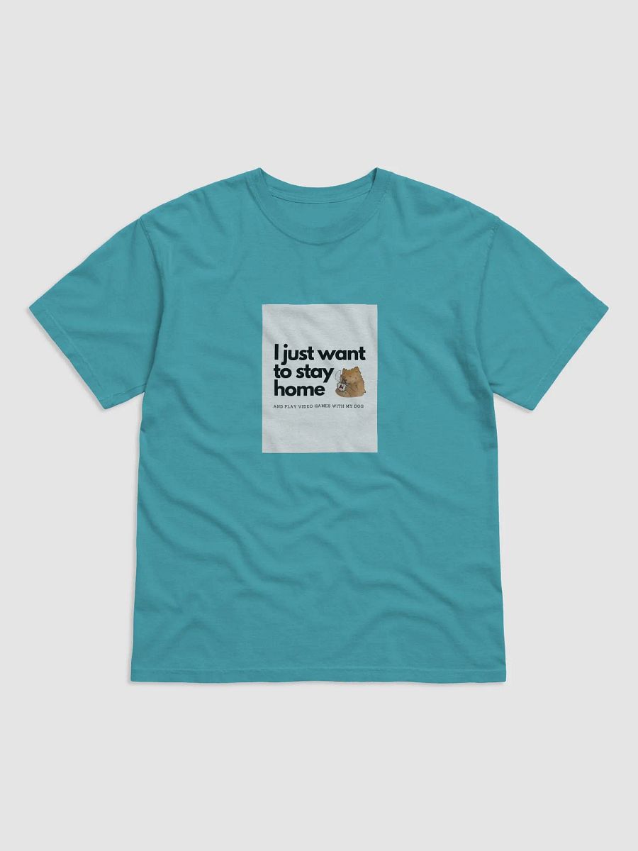 Just Want to Stay Home product image (1)