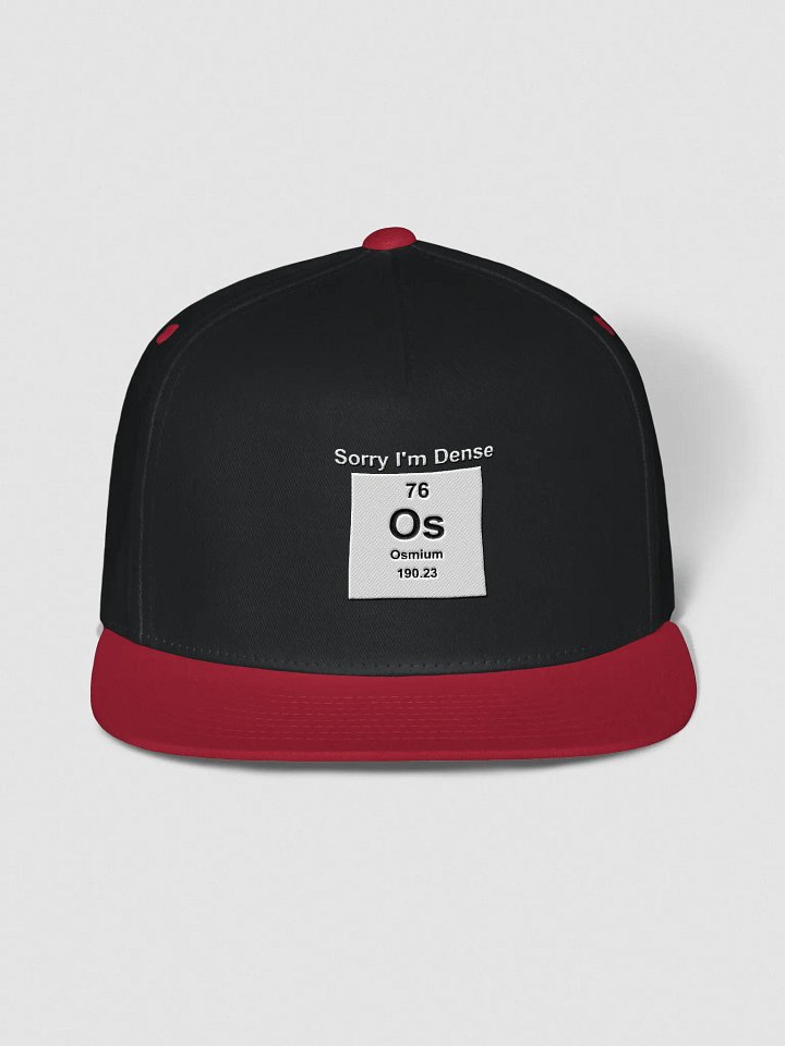 Sorry I'm Dense Snapback product image (1)