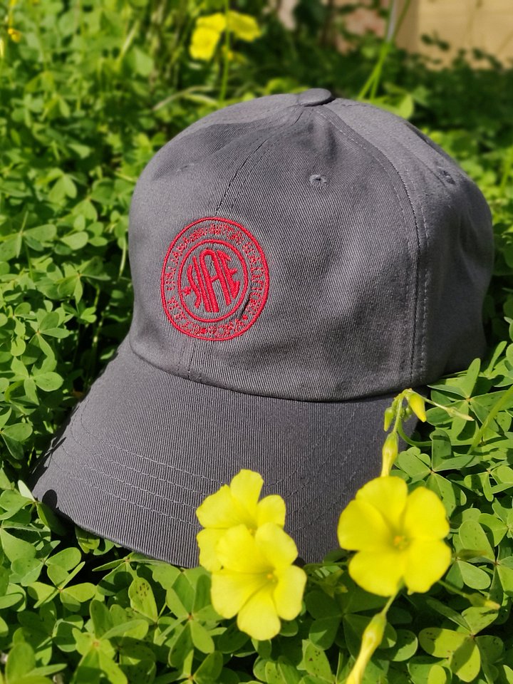 Embroidered SIAE dad hat product image (1)