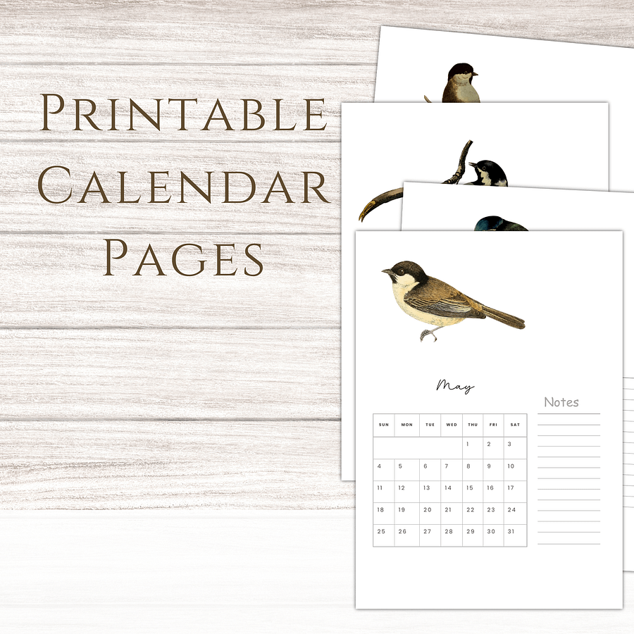 2025-2026 PDF Calendar: American Birds product image (1)