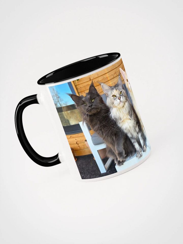 4 Generations - Mug With Color product image (1)