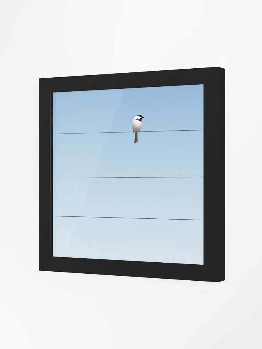 One Bird on a Wire product image (2)
