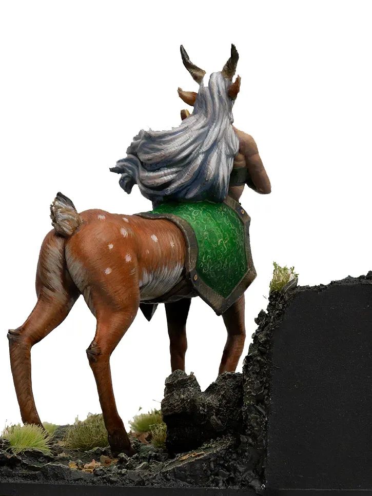 Amphiona product image (5)