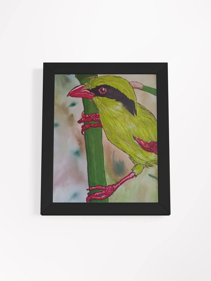 Corvid Series [02] Indochinese Green-Magpie framed print product image (1)