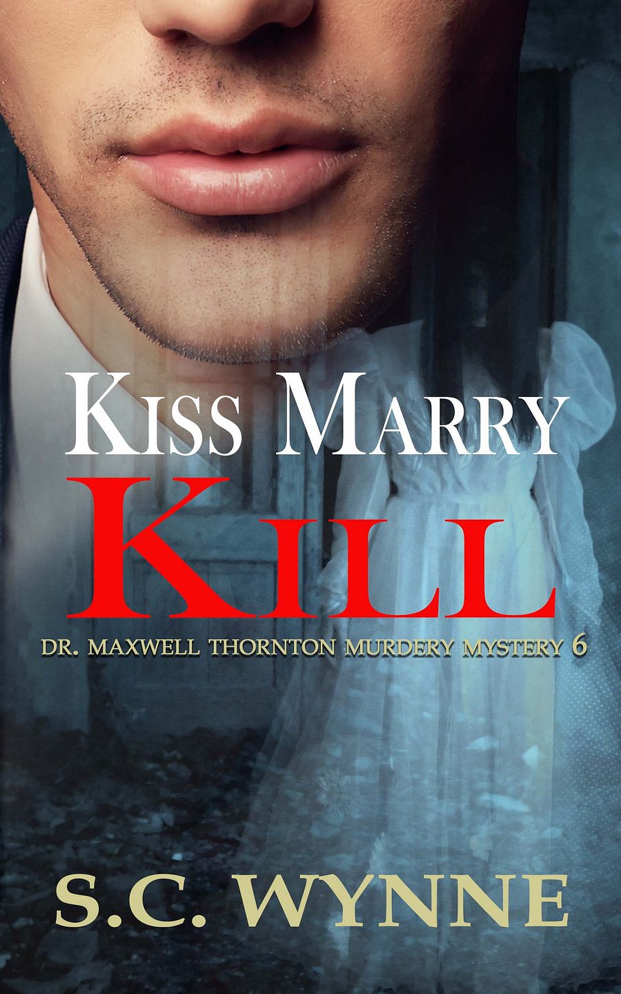 Kiss, Marry, Kill-Book Six-(Dr. Thornton Mysteries) product image (1)