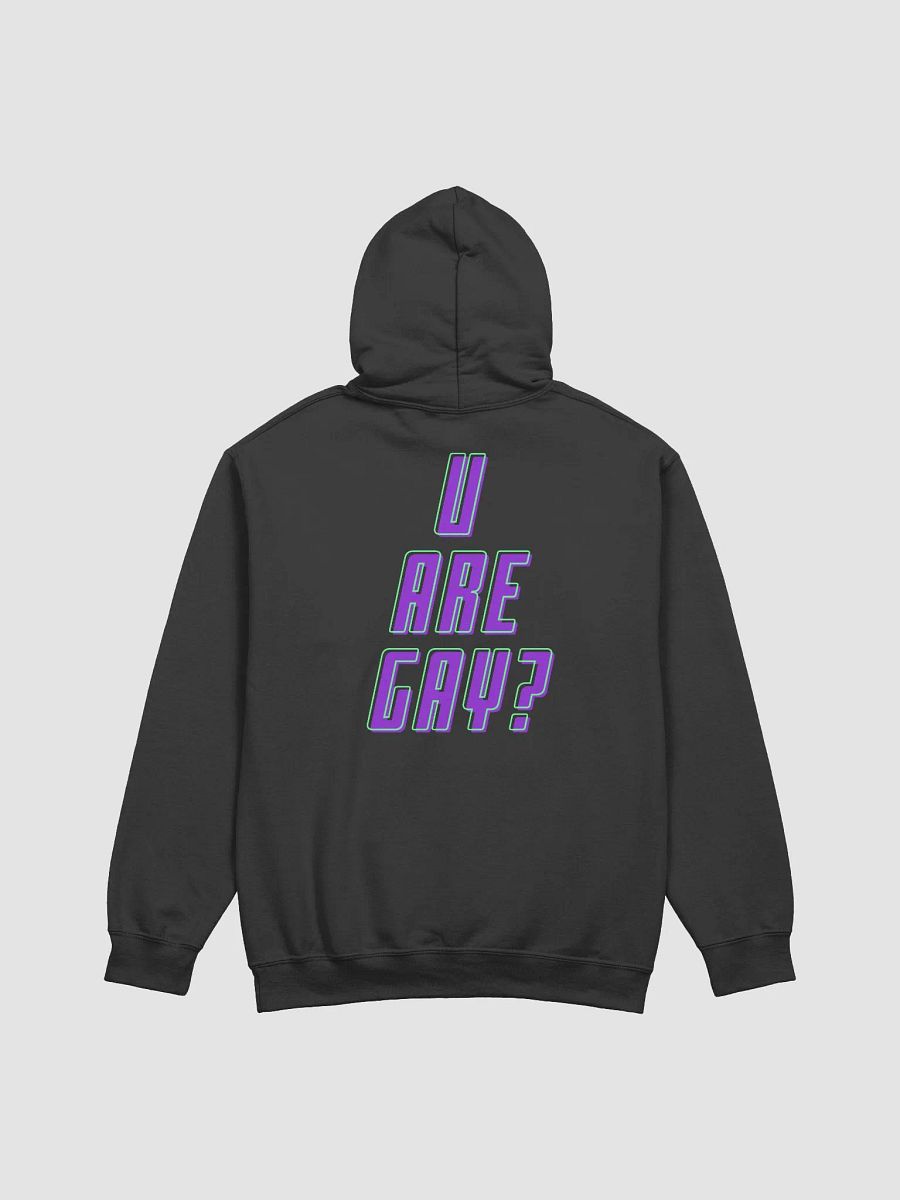 u are gay? hoodie product image (10)