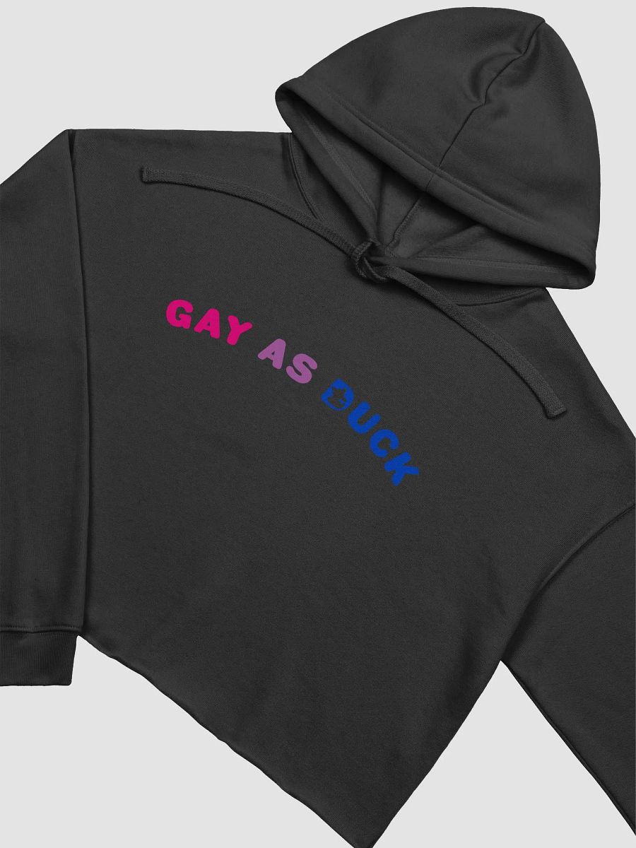 Gay As Duck Crop Hoodie - Bi product image (3)