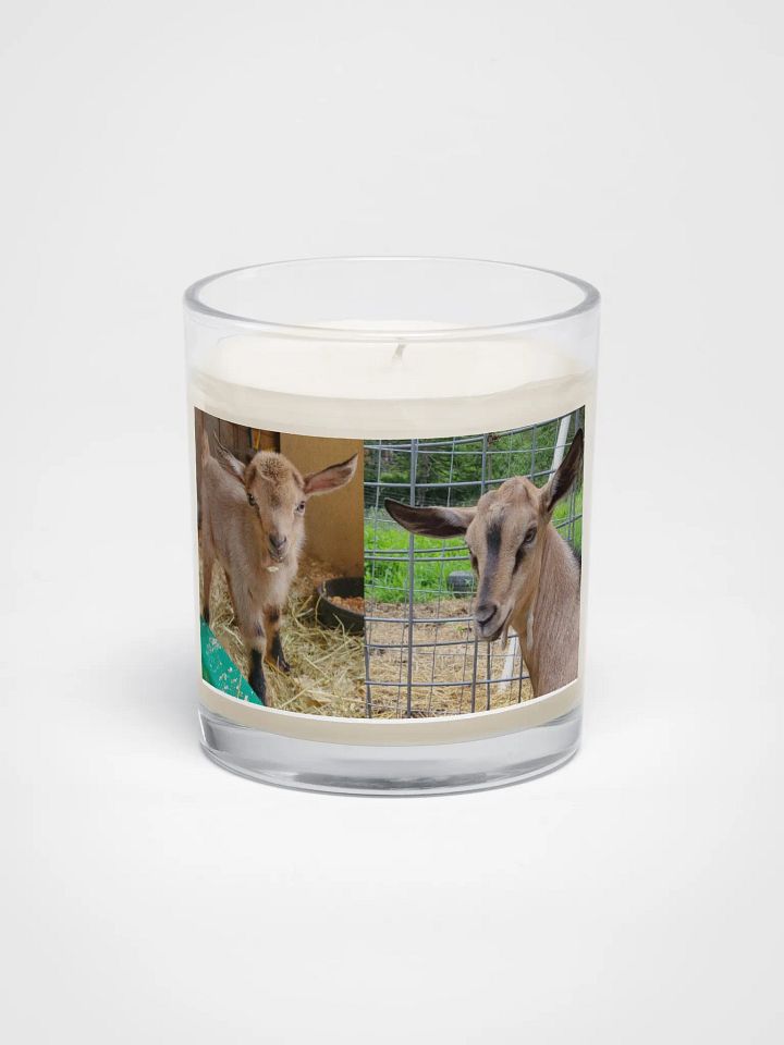 Double Kiwi candle product image (1)