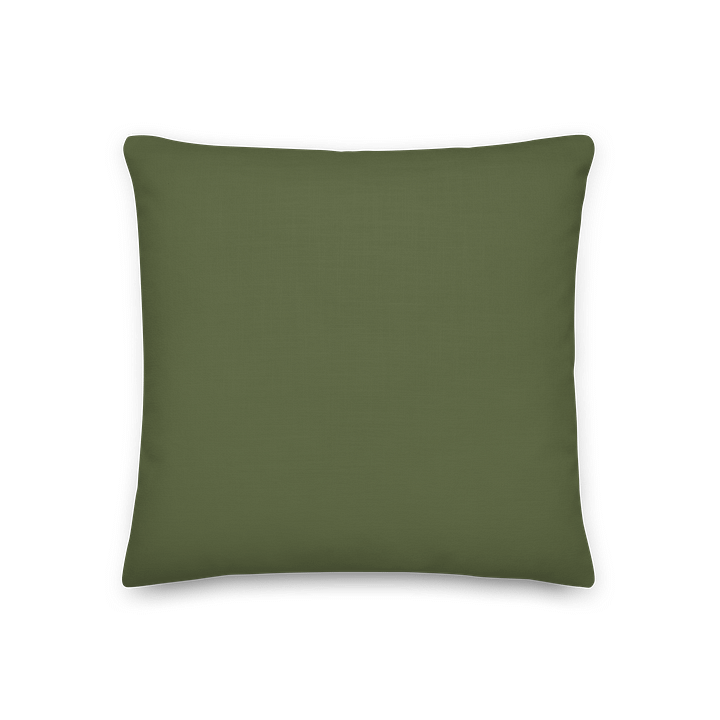 Green & Cream Gingham Throw Pillow – Fresh Boho Accent product image (2)