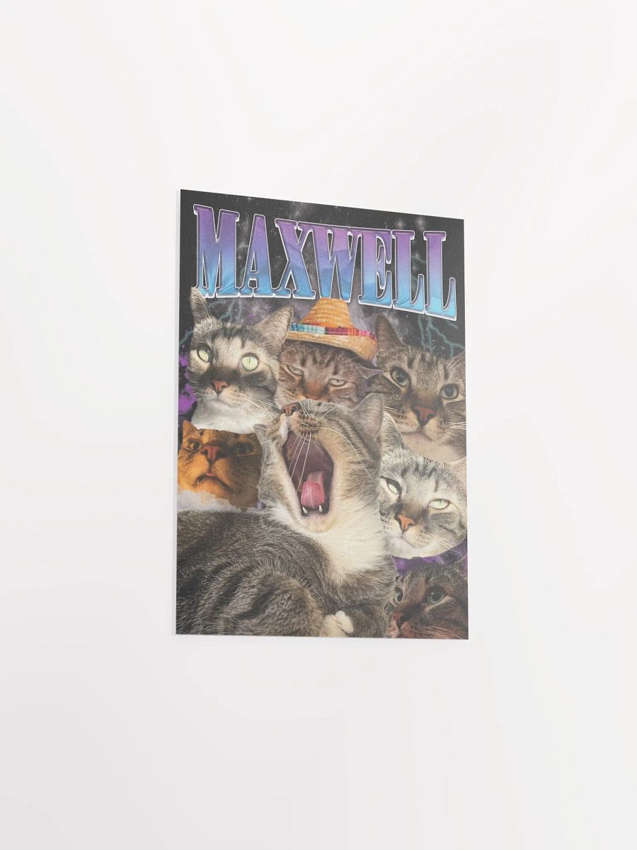 Many Faces of Maxwell - Poster Edition product image (5)