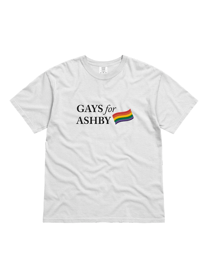 GAYS 4 ASHBY TSHIRT (embroidered) product image (1)
