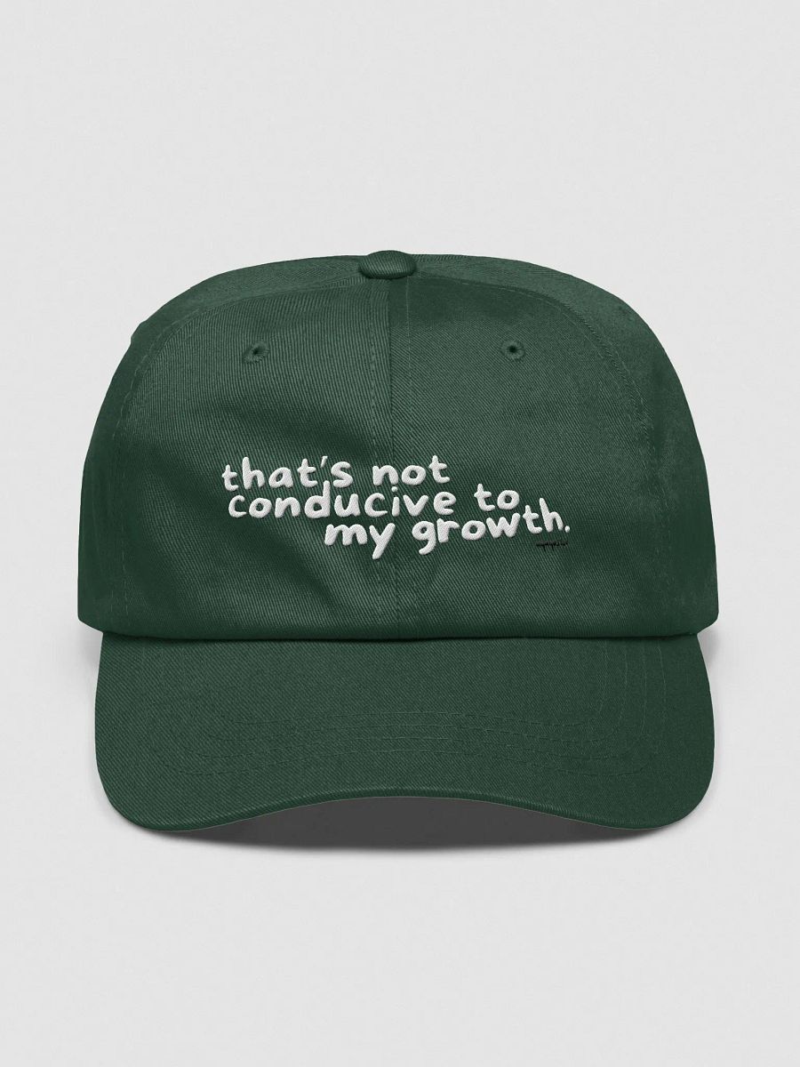 Conducive Cap product image (37)