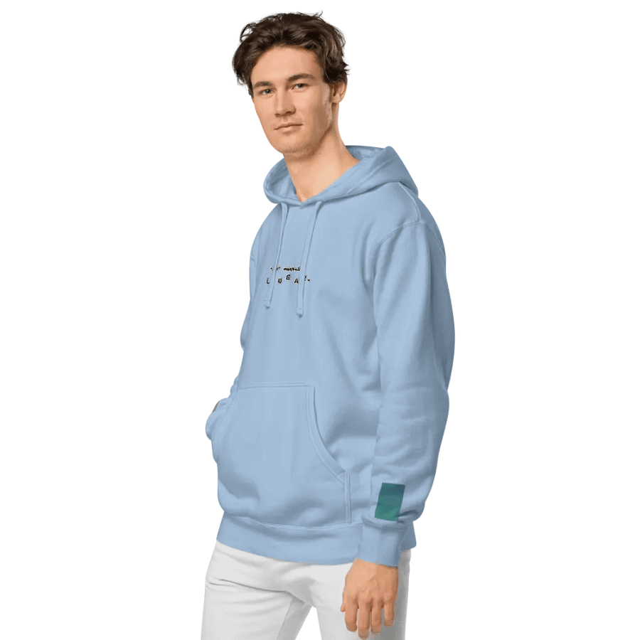 *not* mentally linear embroidered pigment-dyed hoodie (bubble print) product image (4)