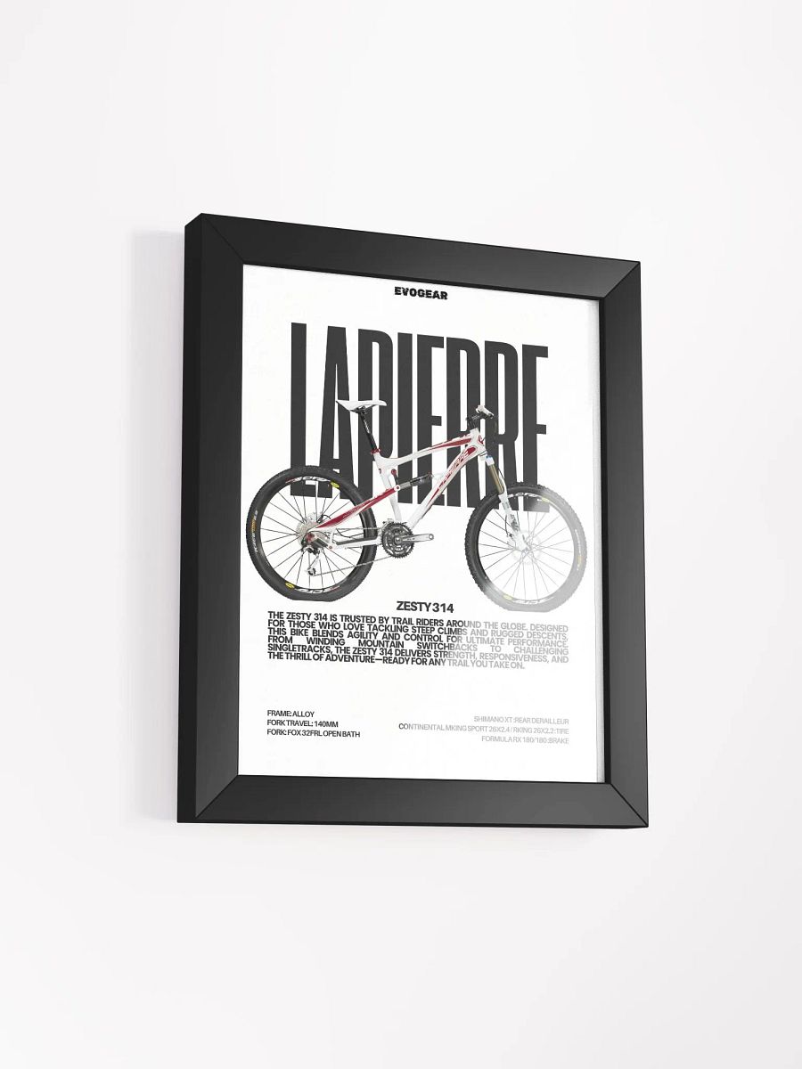 Lapierre ZESTY 314 2010 Frame product image (2)