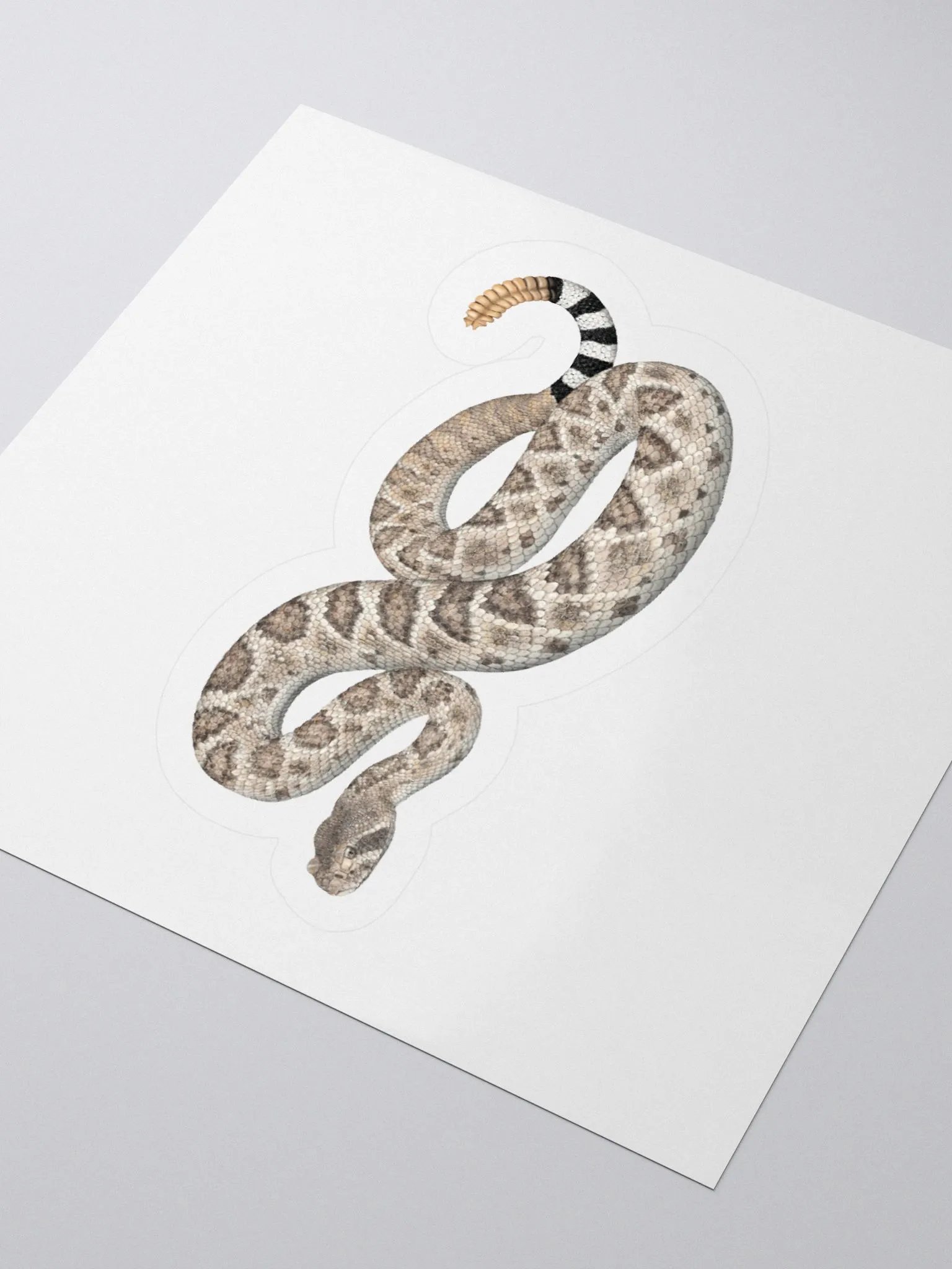 Die Cut Sticker – Western Diamondback Rattlesnake product image (3)