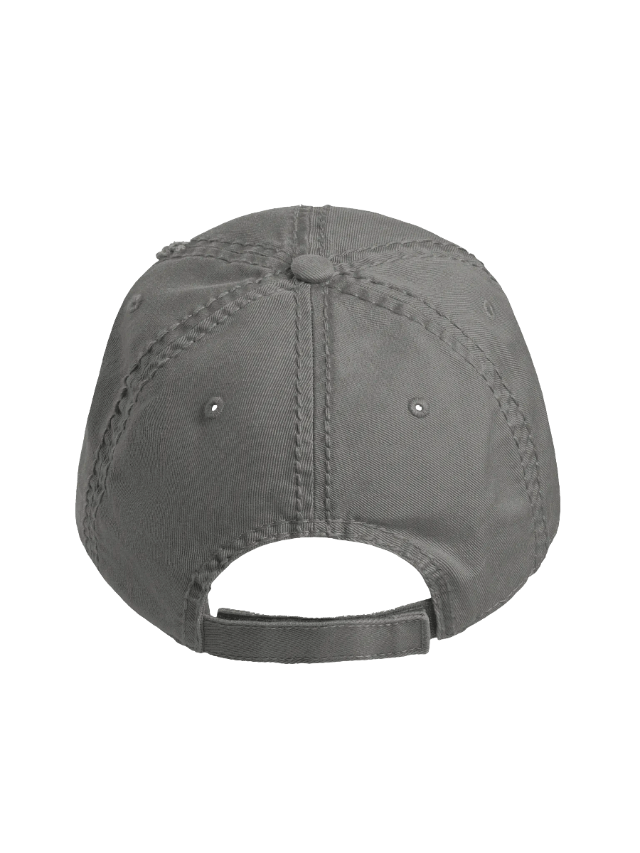 ### Distressed Dad Hat product image (14)