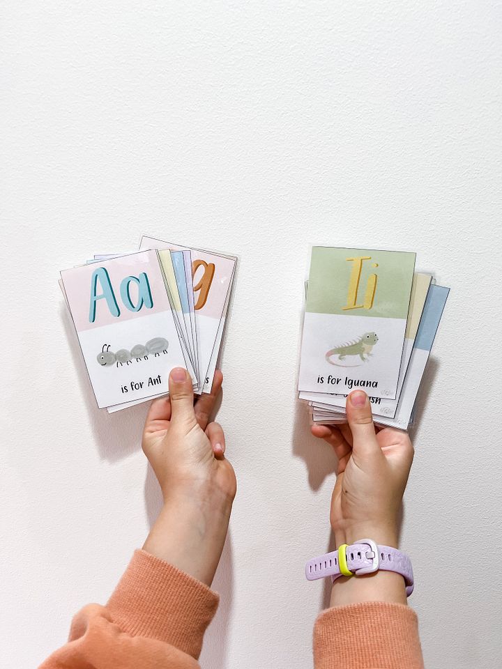 Animal Alphabet Flash Cards product image (2)