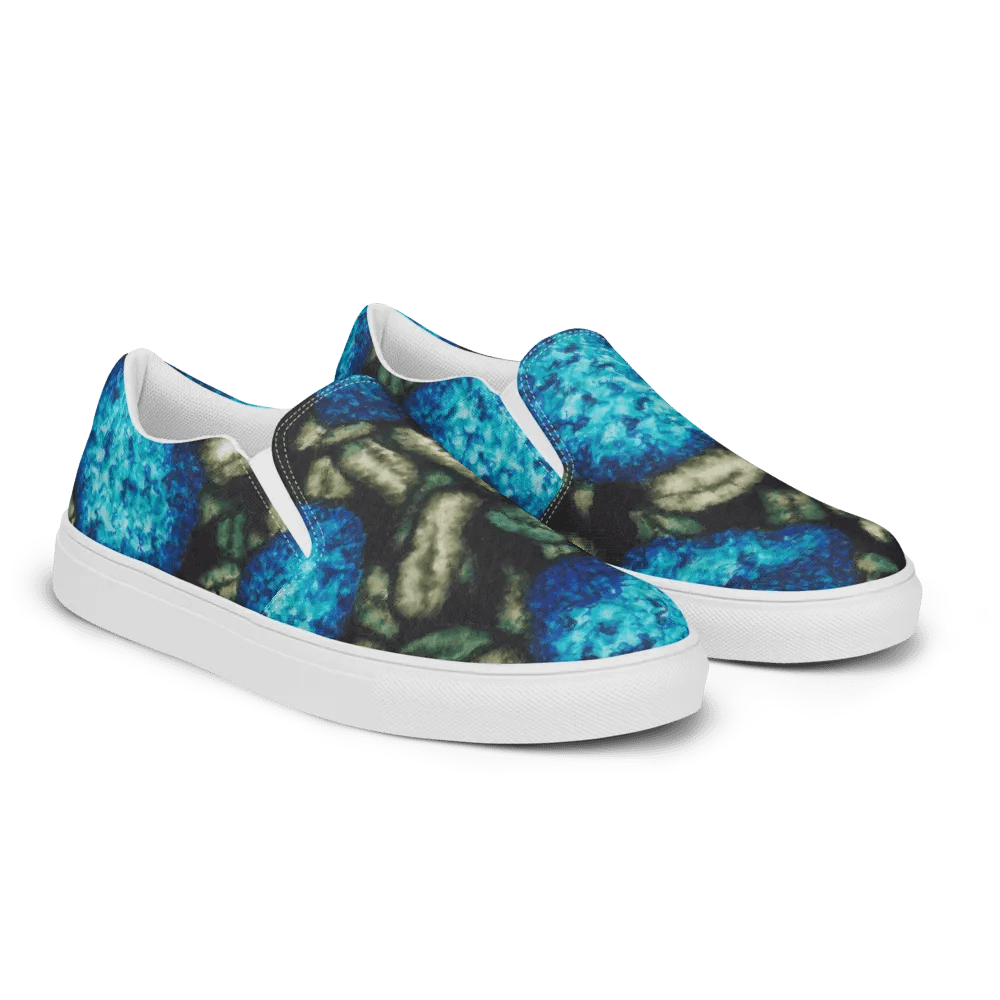 HYDRANGEAS IV men's slip-on canvas shoes product image (10)