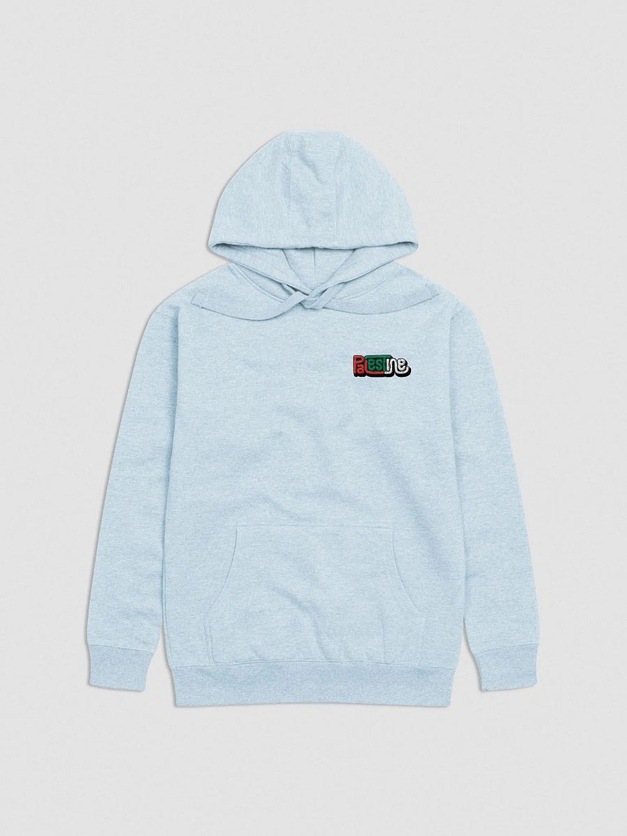 Palestine Embroidered Minimalist Hoodie product image (3)