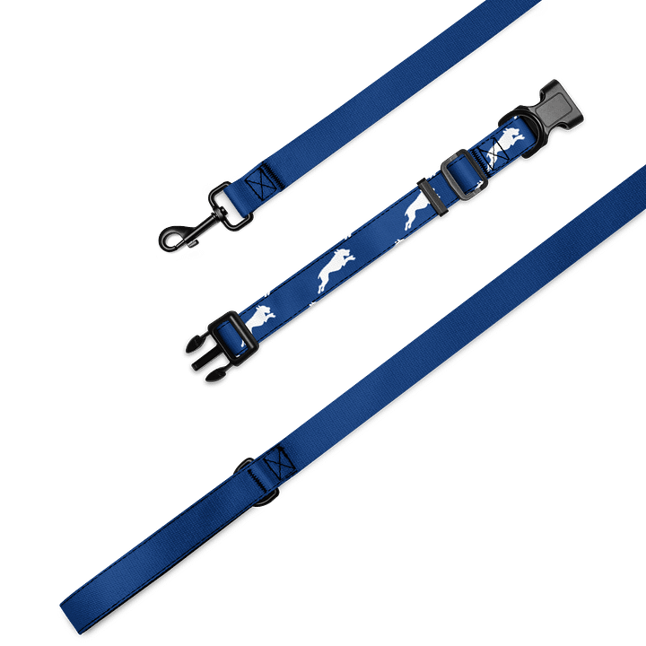 Cool Blue Leash & Collar product image (1)