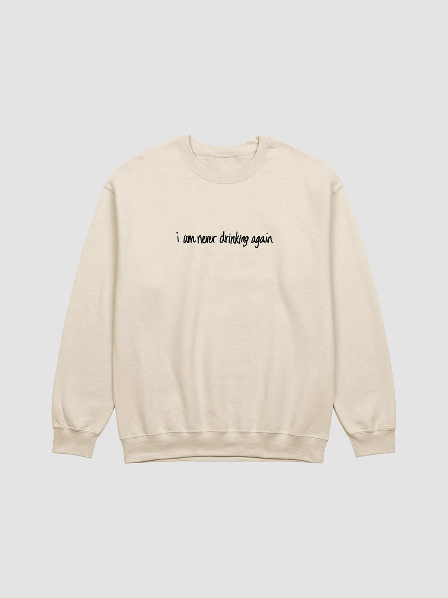 i am never drinking again product image (1)