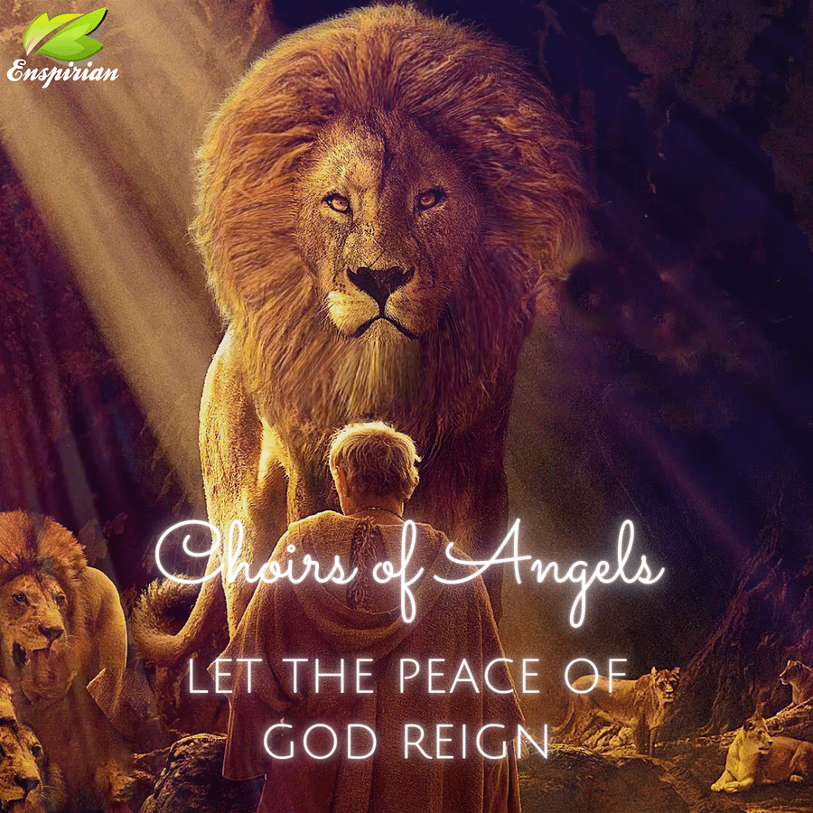 LET THE PEACE OF GOD REIGN product image (1)